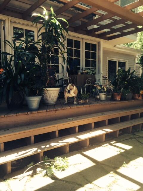 RobertMParkerJP's tweet photo. 10歳の門番がお母さんを探している http://t.co/eUC5k1hSqu