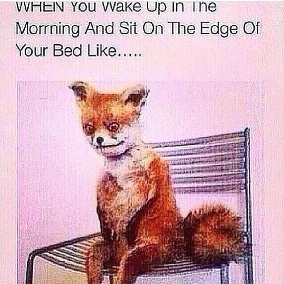 who else does this? 😂😂
