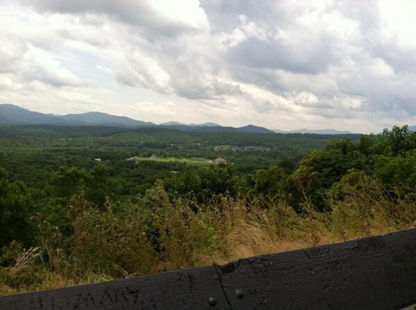 Suzanne Batchelor tweet media