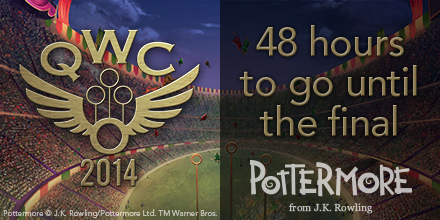 wizardingworld's tweet photo. Who will you be supporting in the 2014 #QuidditchWorldCup final? Comment for Brazil or RT for Bulgaria http://t.co/RvlkhYkCEg