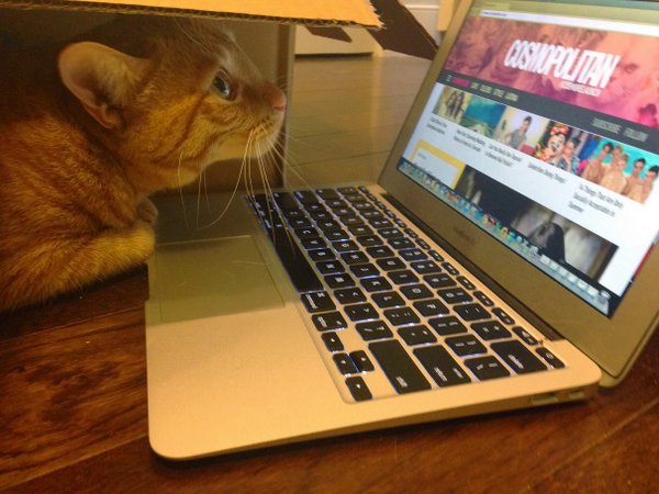 Cosmopolitan's tweet photo. Is your animal-friend obsessed with the new http://t.co/GYeksrWf5q? Send pictures immediately! --> #CosmoRelaunch http://t.co/vNfk7zrqYJ