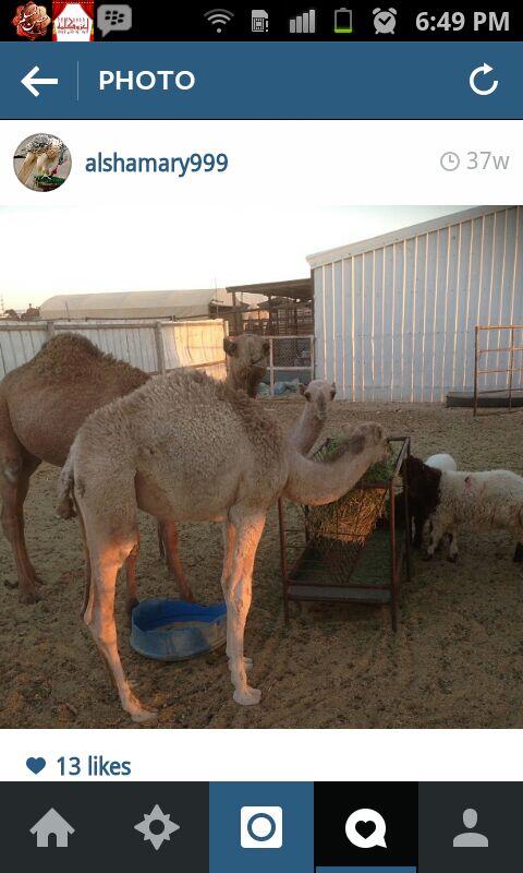 aae123601's tweet photo. http://t.co/ud2nEq2yO1
