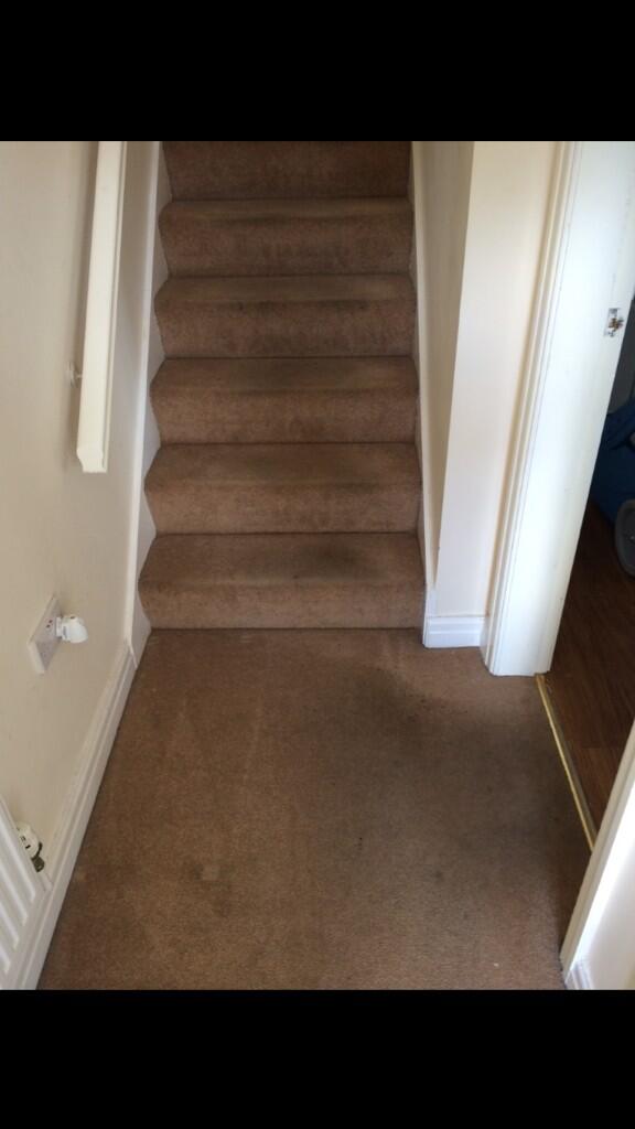 TCSCleaning2014's tweet photo. Why not freshen up your hall stairs and landing? Prices starting from as little as £35 http://t.co/r1digFDqAl