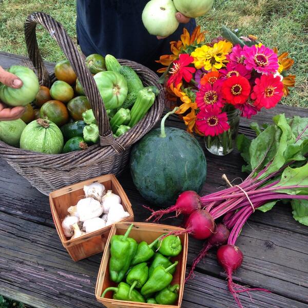 dc_greens's tweet photo. Oh just some snacks from the Farm @WalkerJonesEC for our @FoodCorps planning meeting today. Gotta love summer! http://t.co/UUXIICj70b