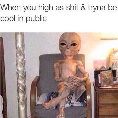 RandomWeedMofo's tweet photo. Been there, done that. http://t.co/IvDHg4HVBT