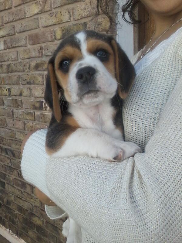 Bruna Fistra tweet media