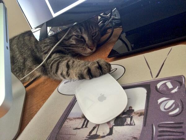 No Way North tweet media