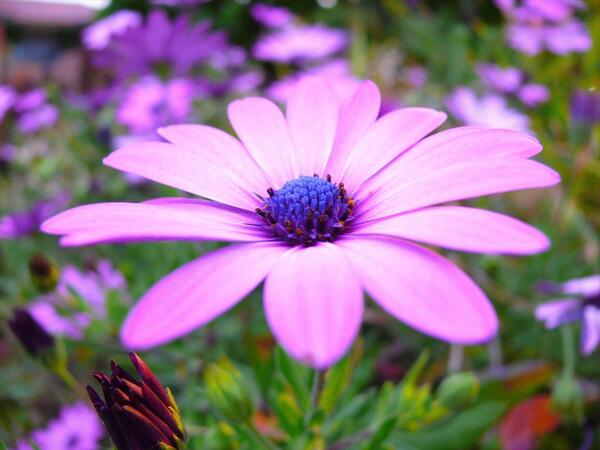 axx2017's tweet image. #ImageFilter @MobilebilityiOS mobilebility.com/imagefilter/do…