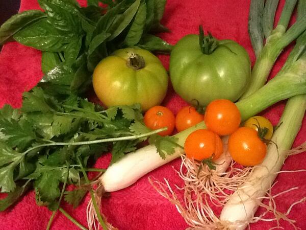 TowersDSNI's tweet photo. There's nothing like a freshly picked salad! @pahlga @24mangoes #TAGitTowers http://t.co/yeDWL7cQZq