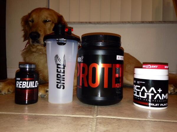 ChrisHern9576's tweet image. Got my Recovery stack from SHREDZ!! 💪🙌🔥🔥 #SHREDZARMY #recoverystack #SHREDZ @devinphysique @TheJoeySwoll @shredzarmy