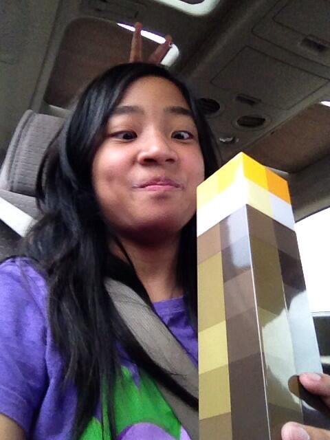 pastryisms's tweet image. selfiewithaminecrafttorchcausewhynot