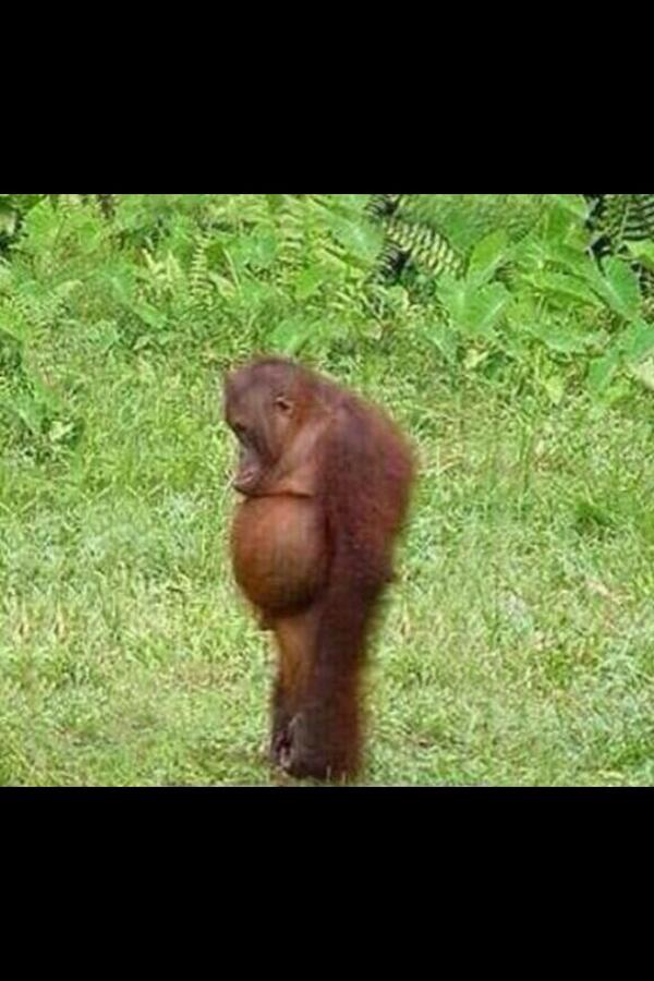 Baseballfollow_'s tweet photo. After I strikeout http://t.co/Bm7HpMvQIu