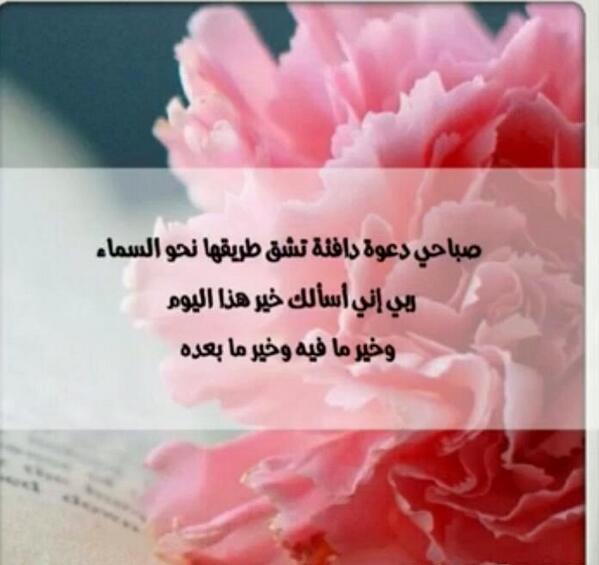 halall's tweet photo. صباح الخير http://t.co/ep6hI6cs4I