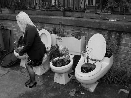 LiudgeStripboek's tweet photo. On the toilet http://t.co/3vwA9pZicK