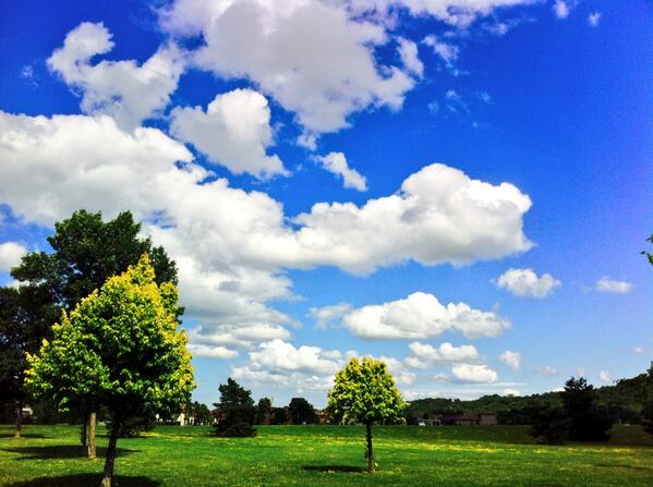 PicCapture's tweet photo. The perfect day. #sky #trees #nature #photography http://t.co/6sX278zXu0