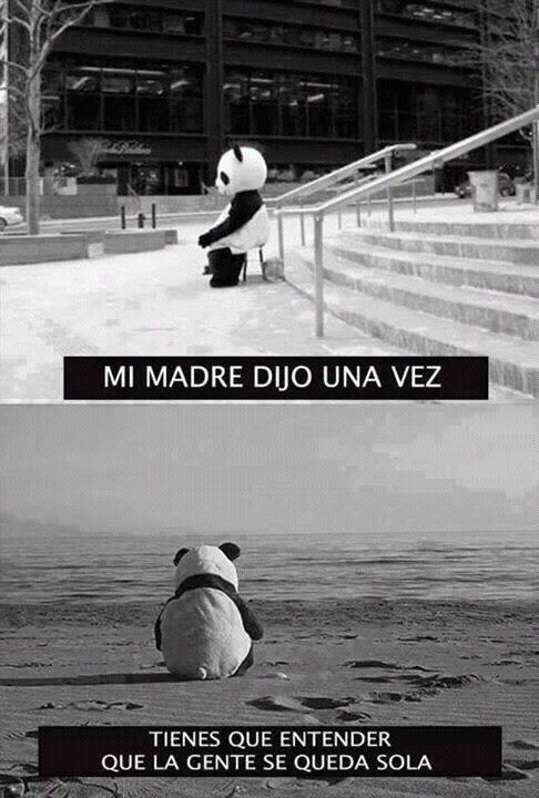 mil_mariposas's tweet image. Esto