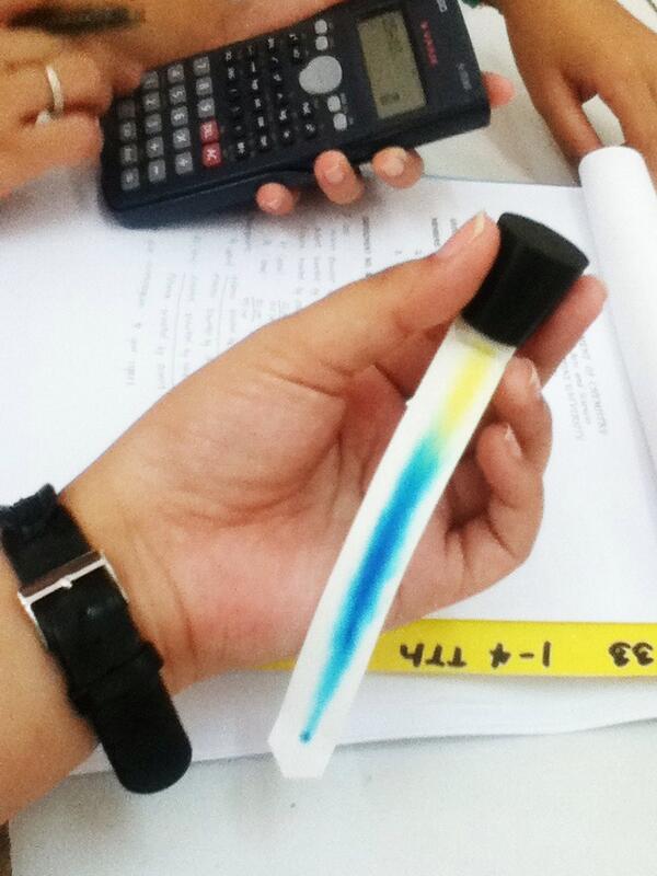 MaxayneOroceo's tweet image. Paper chromatography 🌈 #LabClass