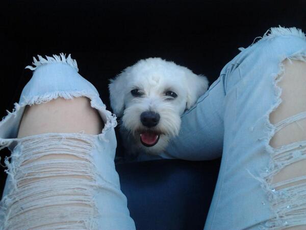 bojallex's tweet photo. http://t.co/6hQsFEkRKu