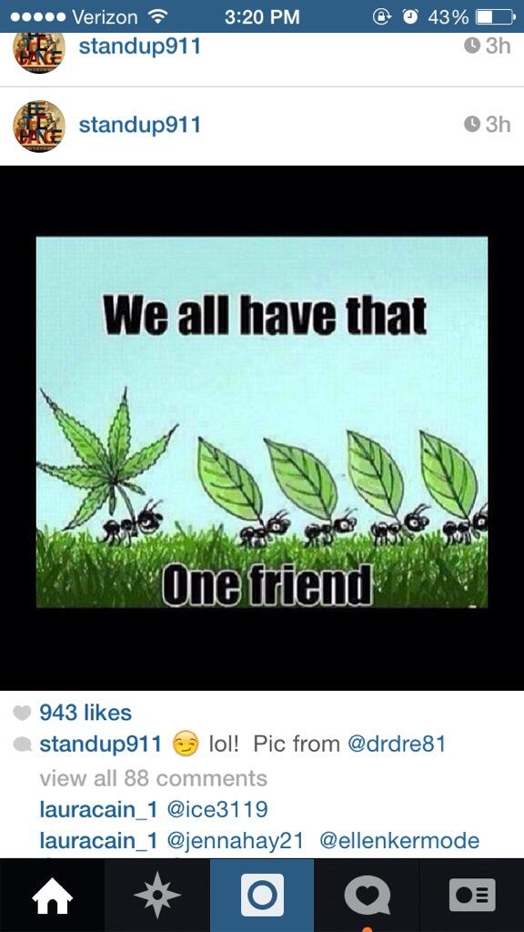 ShitSeahawksSay's tweet photo. #myfriends #FlyHighSeahawks #cannibus #realfriends #highonlife@liliallison http://t.co/BQ4d62WjoR