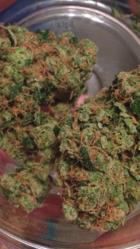 ShitSeahawksSay's tweet photo. Who has shit like this? #uncw #ilm #910 #FlyHighSeahawks #seahawks #cannibus #highonlife #thatgoodgood #AskTwitter http://t.co/Xw1GQqXdfI