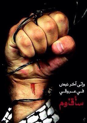 MohammedAssaf89's tweet photo. فلسطين هي البوصلة و المقاومة هي الطريق 
#غزة_تقاوم  #فلسطين http://t.co/FnosPMotxa