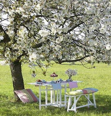 Вишневый сад декорации. Чаепитие в весеннем саду. Столик в яблоневом саду. Место для чаепития в саду. Стол в цветущем саду.