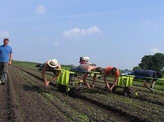 MultiMoke's tweet photo. #Weeding #organics http://t.co/ggXJuzsRGS