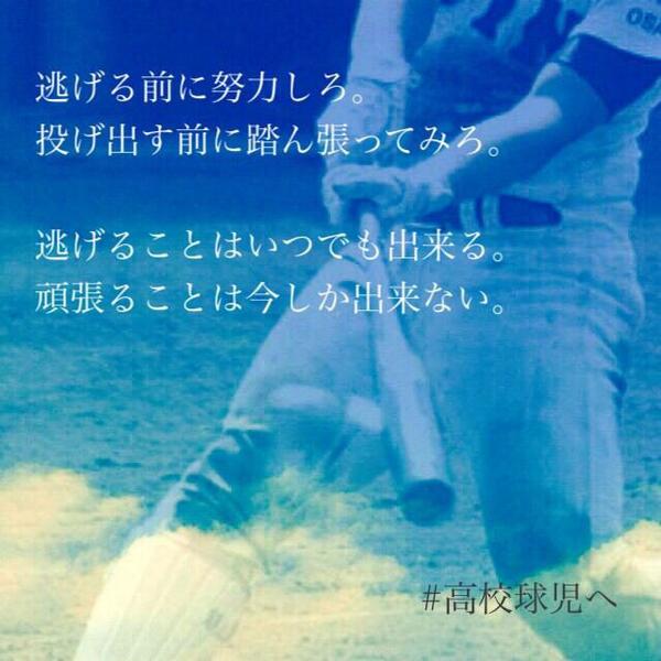 ふ み は Twitterren もうすぐ 第96回全国高校野球選手権地区大会開幕 野球部員rt 野球部マネrt 高校野球好きな人rt Rtしてくれた人で気になった人フォロー Http T Co D1ehllxcem