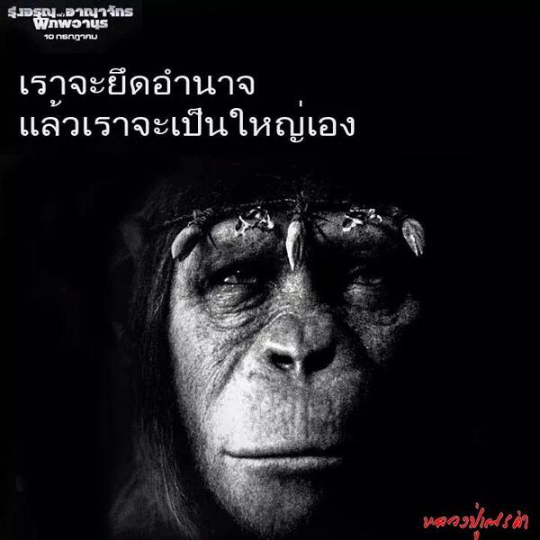 ComPipop's tweet image. ขอบคุณ เครดิตภาพ เณรคำ...เจริญพวง...