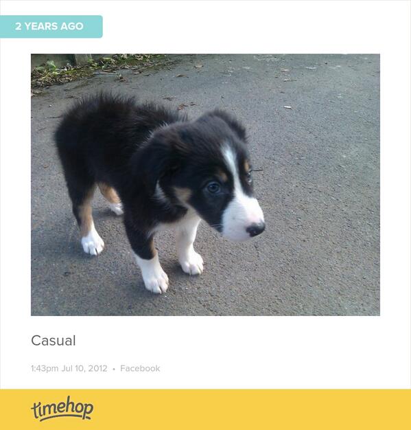 Been two years since we first got Roxie  timehop.com/c/fup:41884132…