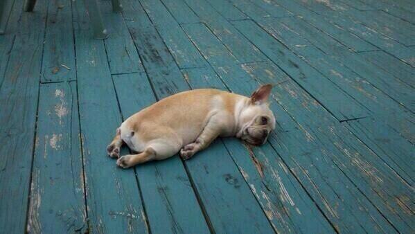 Current mood http://t.co/305qupP2IE