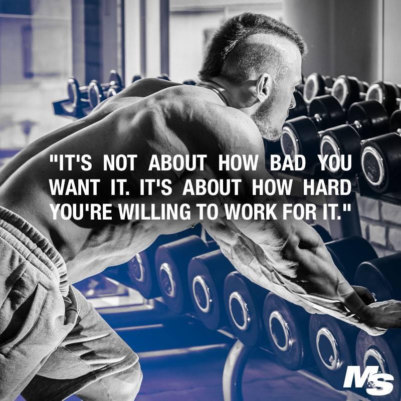 Gym Motivation on Twitter: "How hard U gonna work? http://t.co/kUc51Kf8NL"