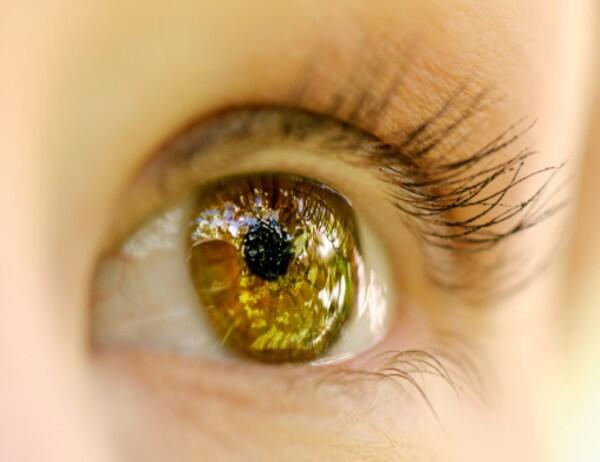 Regeneran el tejido de la córnea utilizando células madre.
atemooch.cl/?p=994