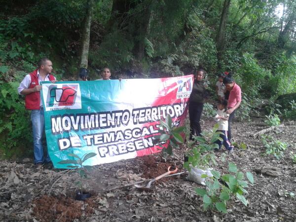 MTemascaltepec's tweet image. EL @MT_EdoMexico TEMASCALTEPEC PARTICIPANDO EN ESTE IMPORTANTE PROCESO DE CUIDAR EL MEDIO AMBIENTE, @ezarzosa_73