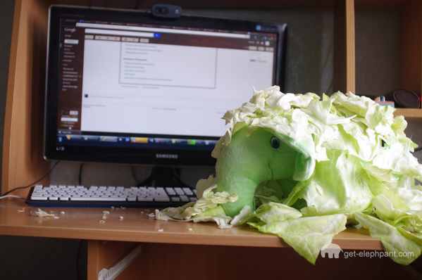 php_elephant's tweet image. How to wrap green elephpant