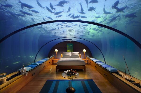 OMGFacts's tweet photo. Underwater bedroom in the Maldives http://t.co/juTngiSLBB