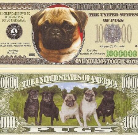 what_the_pug's tweet photo. Pug Dog $Million Dollar$ Novelty ... - http://t.co/Uu96Y92FFw #FunnyPug #PugMoney #PugProducts #Whatthepug http://t.co/99Wiwzi1H3