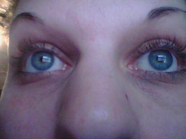 seifring tweet picture