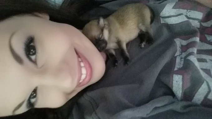 Just an update.... (this photo is a few days old) handsome boy is starting to open his eyes today! http://t<a href="/tag/ombre"class="tags"><span>#ombre</span></a><a href="/tag/normal"class="tags"><span>#normal</span></a>