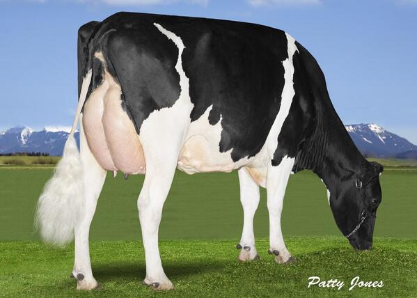 Comestar Lilaca Shottle VG-87
Check updated website for more new pictures and July genomics! cedarwal.ca