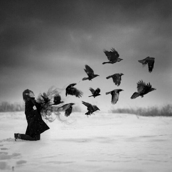 _LDobro_ tweet picture