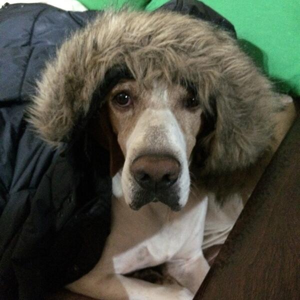 Bradthepointer tweet picture