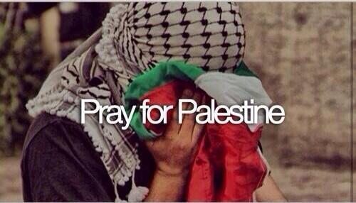 AmourDansleHlel's tweet photo. #PalestineVaincra #PalestineUnderAttack #Palestine #Multipliezvosduas ❤️💚 http://t.co/6ZOi7cfSkE