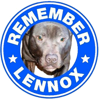 OfficialLennox tweet picture