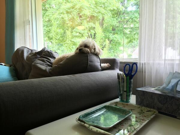 maintain..... alertness...