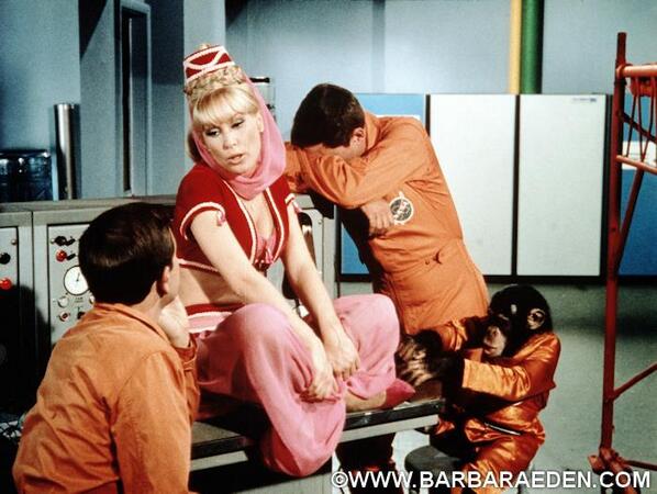 "What happens when you cross an elephant with a jar of peanut butter?" #IDreamOfJeannie #ThrowbackThursday