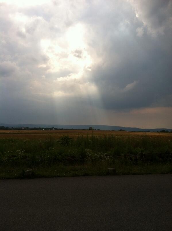 Suzanne Batchelor tweet media