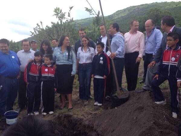 DiputadosVerdes's tweet photo. En el #DiadelArbol la Dip. @Lulu_Chiapas reforestando el cerro de Palenque en #GTO con @miguelmarquezm @Ferbribiesca http://t.co/cOOXjsNYAT