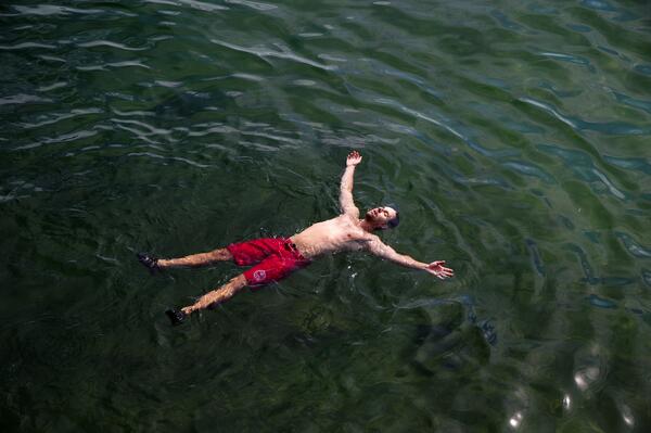 David Cole tweet media