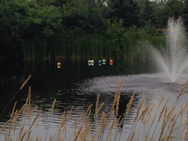 ScorpsBlaine's tweet image. Problem? #timetoswim